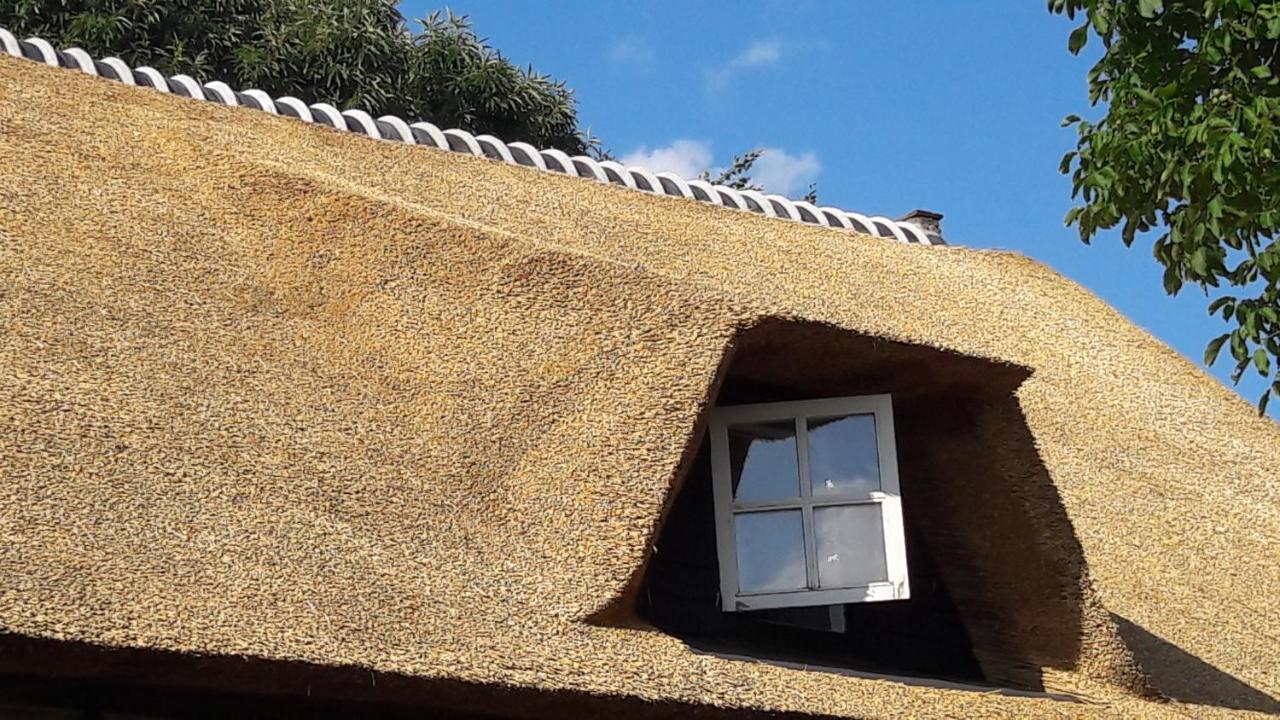 Prinsenbeek Farmer'S Suite מראה חיצוני תמונה