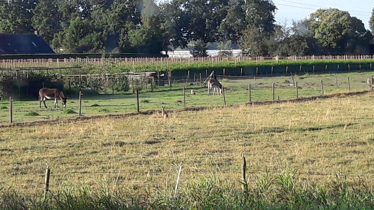 Prinsenbeek Farmer'S Suite מראה חיצוני תמונה